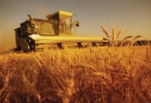 В Приднестровье сократилось производство сельхозпродукции
