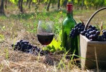 На 28%сократился экспорт винодельческой продукции Молдовы в январе-июне