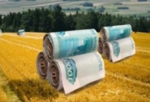 6,3% — доля сельхозкредитов в структуре кредитного портфеля по банковскому сектору РМ