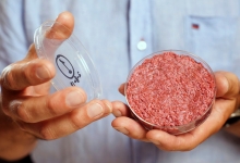 В 280 магазинах США появится искусственное мясо