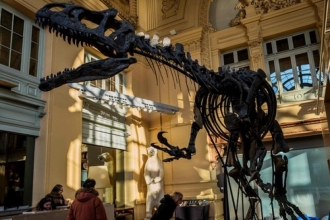 За €2 млн ушел с молотка скелет динозавра во Франции