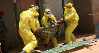 ДР Конго одобрила тестирование в стране экспериментальных лекарств от Эболы